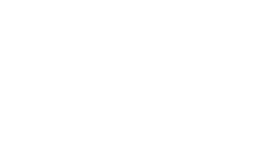 DBS 770 Ultimate logo