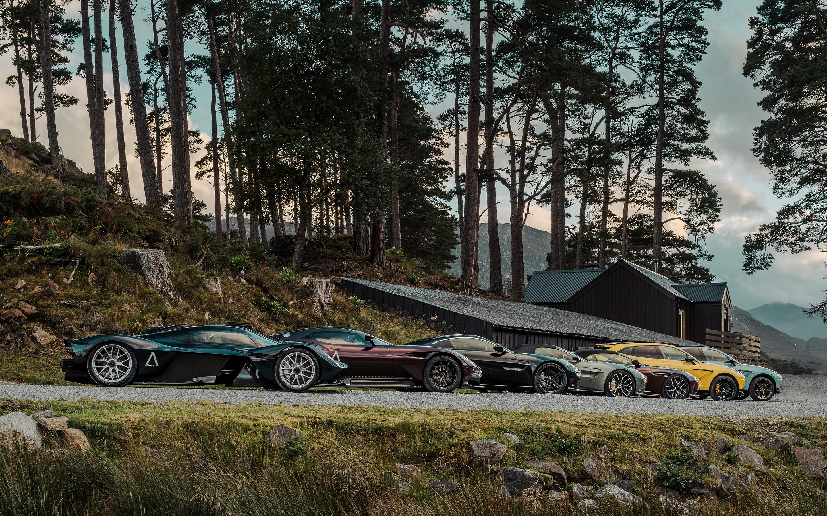 bloodline slider Image