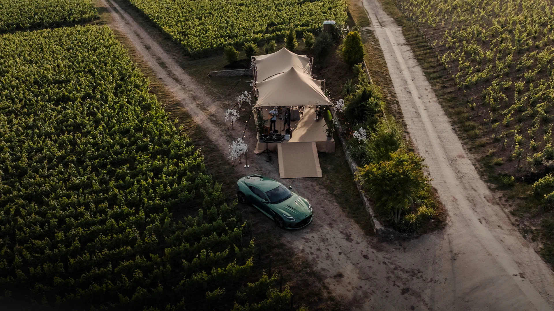 bloodline slider Image