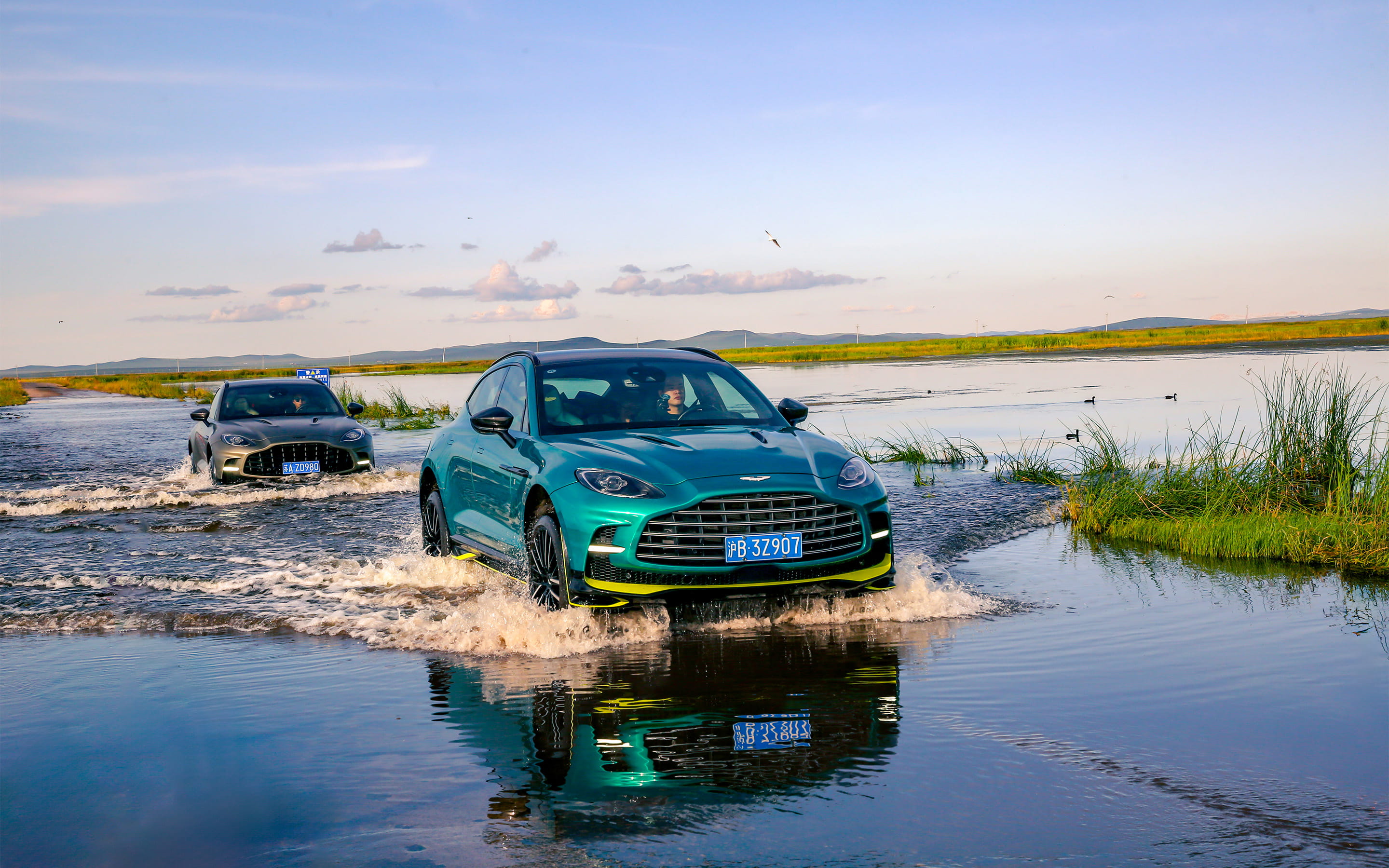 bloodline slider Image