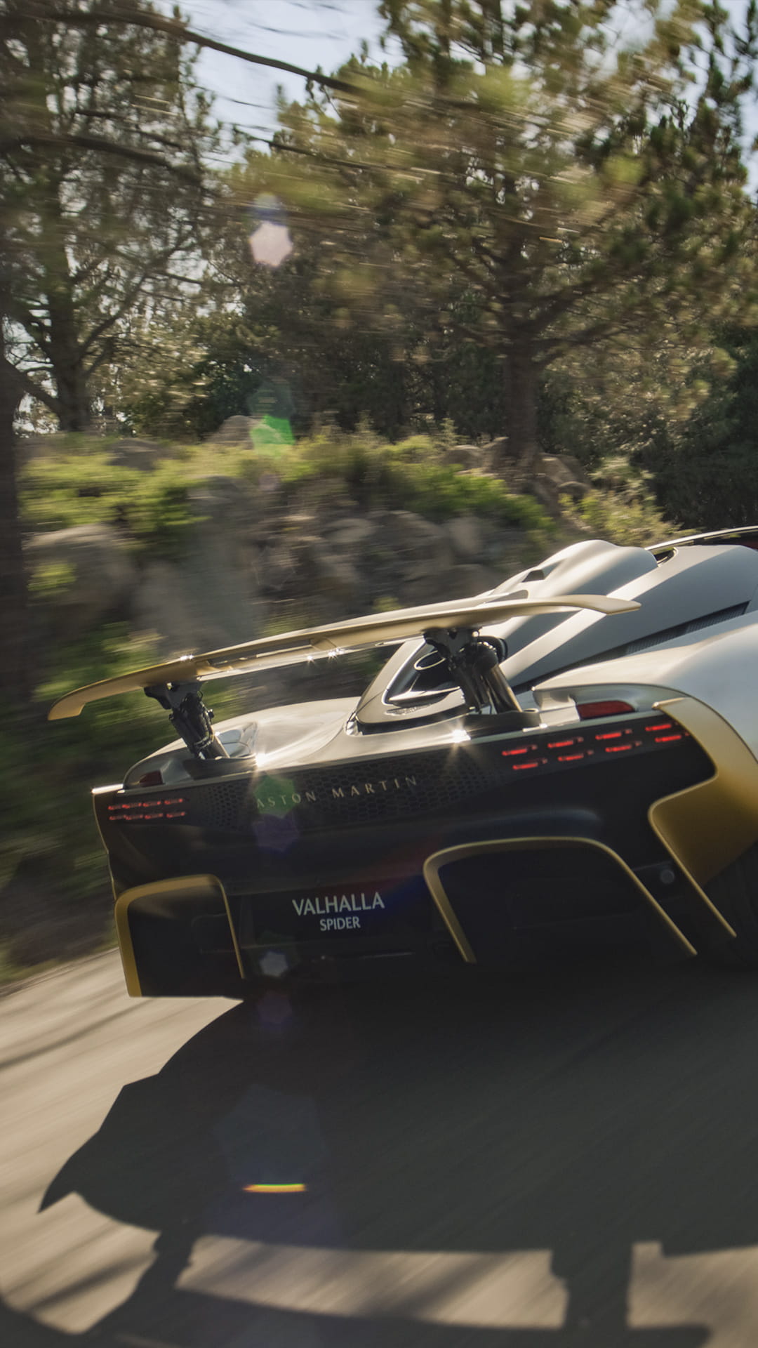 all-models-image2