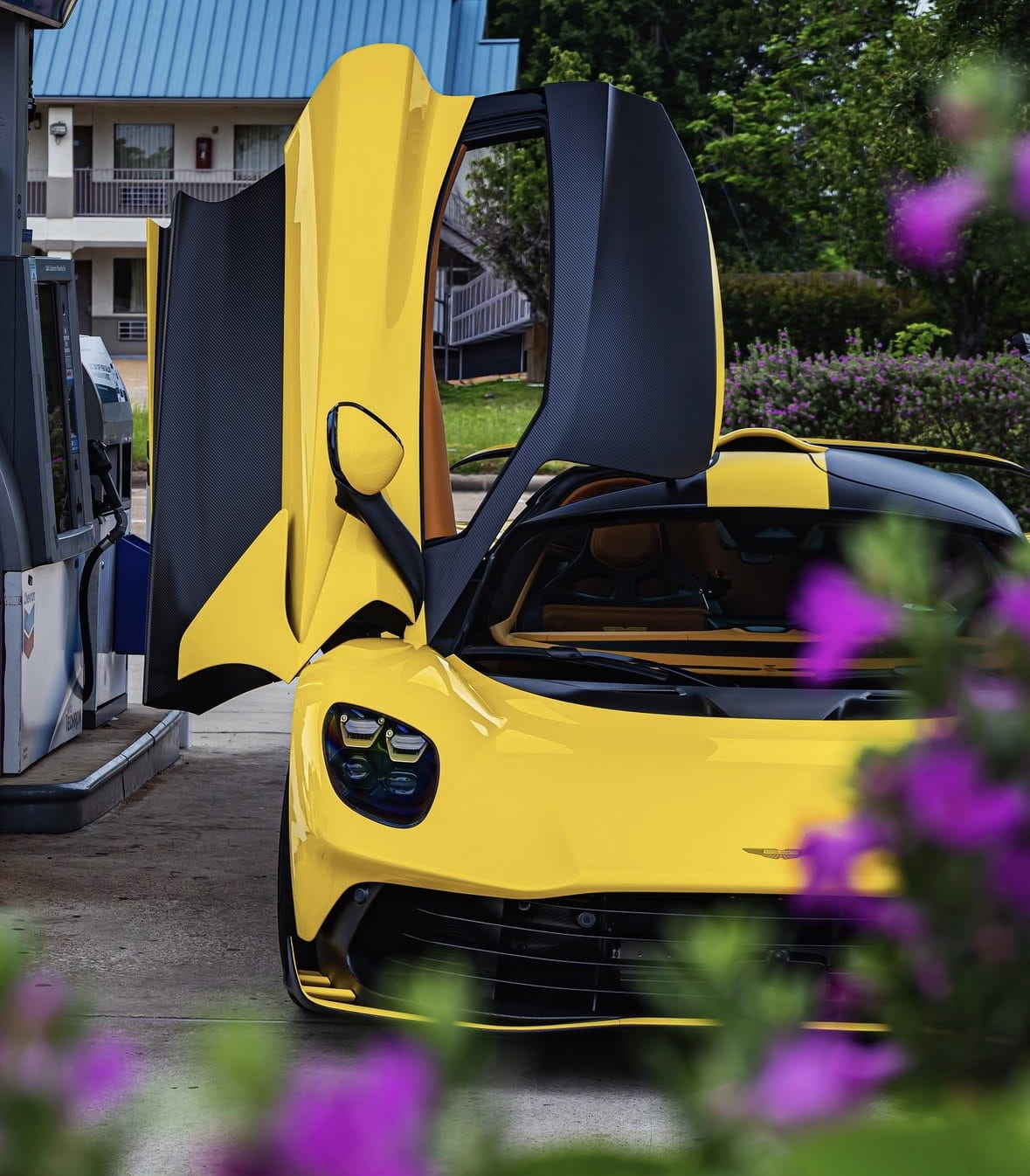 lifestyle gallery